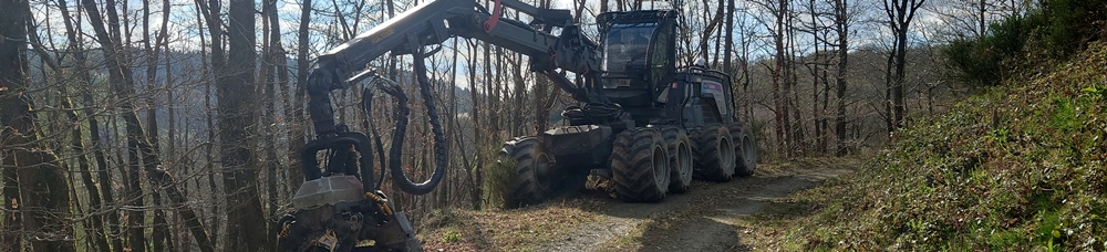 Holzvollernter im Weiberner Wald